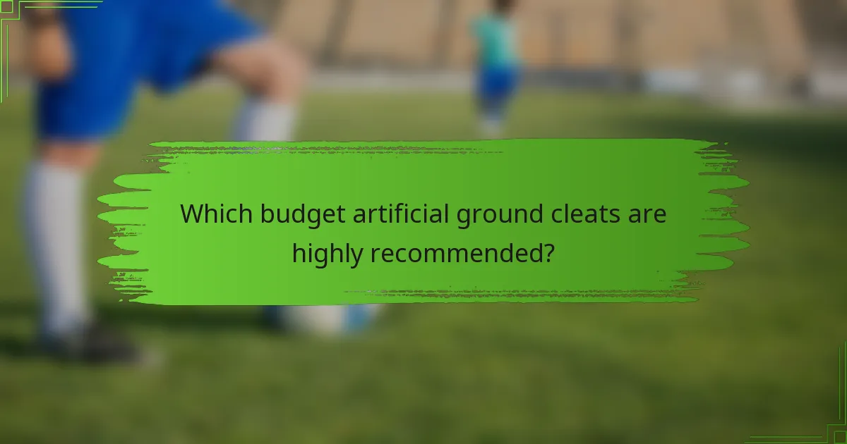 Which budget artificial ground cleats are highly recommended?